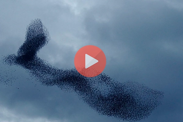 Δείτε τι συνέβη στον ουρανό της Ολλανδίας | Βίντεο με Παράξενα Φαινόμενα