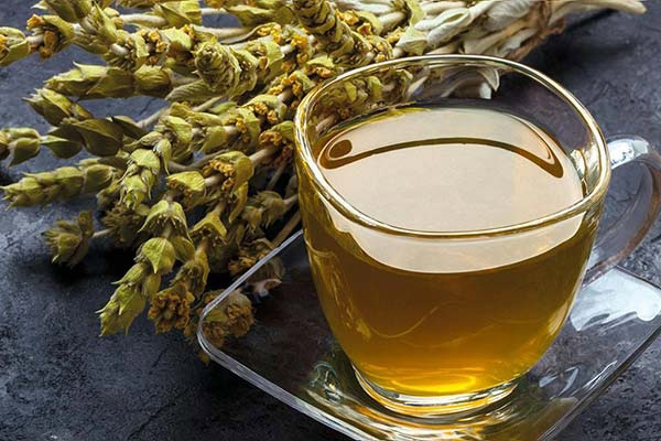 Το Ελληνικό τσάι του βουνού γίνεται ανάρπαστο σταδιακά και ζητιέται από όλο τον κόσμο εξαιτίας των θεραπευτικών ιδιοτήτων του! | Βότανα & Θεραπευτικές Ιδιότητες