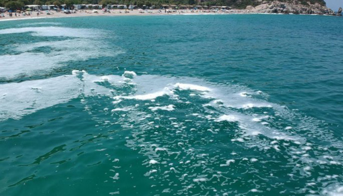 Χαλκιδική: Τι συμβαίνει με τις φυσαλίδες στις παραλίες – Που οφείλονται