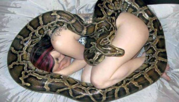 Αυτή η γυναίκα κοιμόταν κάθε μέρα αγκαλιά με το κατοικίδιο φίδι της, ώσπου έπαθε το σοκ της ζωής της